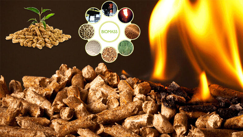 Bulk Wood Pellets for sale