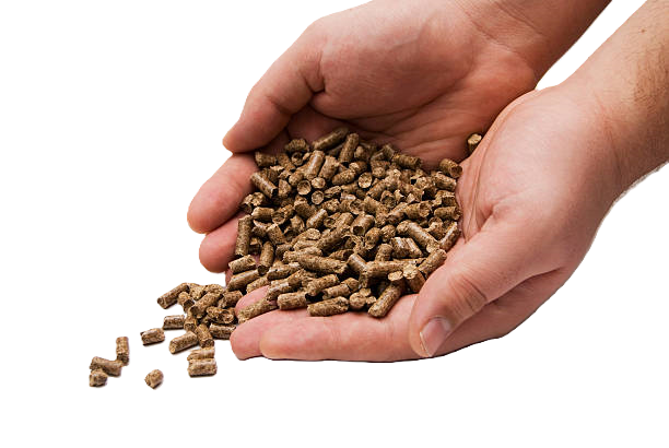 Buy Wood Pellets Wholesale