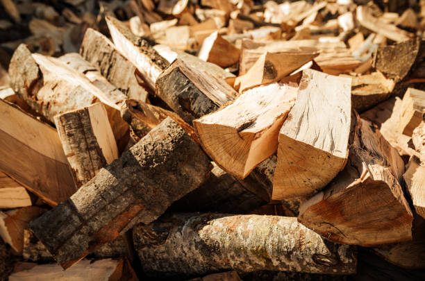 Kiln-Dried Hardwood Firewood